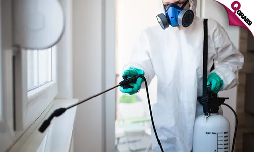 Pest Control Services!